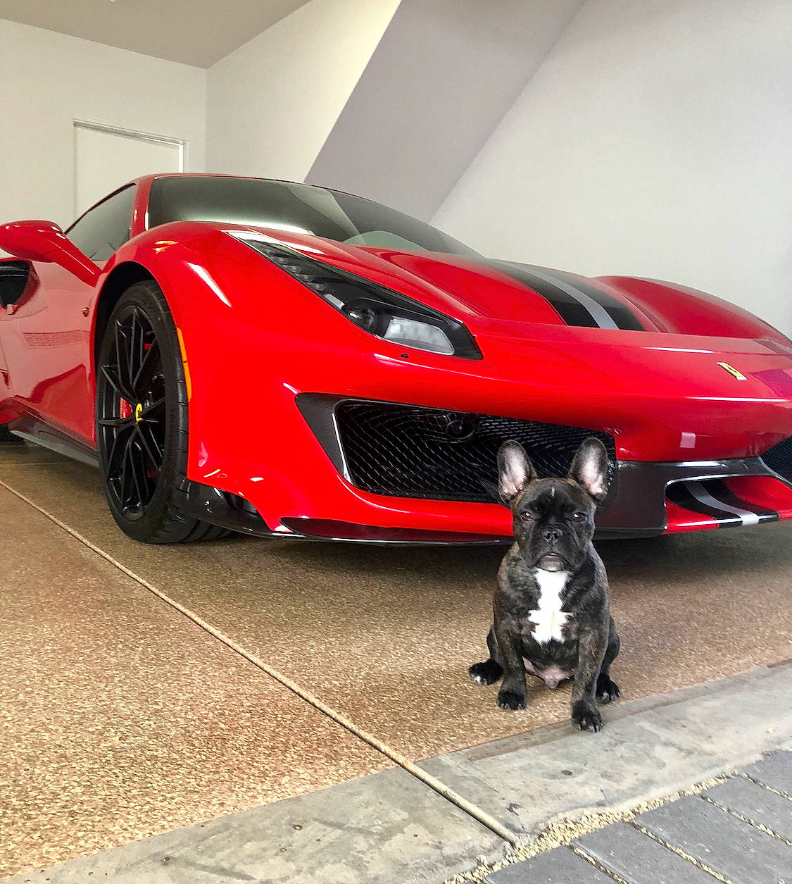 Montana is registered to the contest to win money with this photo: automotive_design, automotive_exterior, automotive_wheel_system, car, coupe, ferrari_, land_vehicle, luxury_vehicle, performance_car, race_car, red, rim, sports_car, supercar, vehicle, wheel