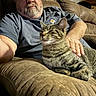 Swiss is registered to the contest to win money with this photo: beard, cat, couch, cuddling, furniture, glasses, hand, home, indoors, living_room, man, person, pet, petting, portrait, relaxed, sitting, sleepy, striped_fur, tabby_cat