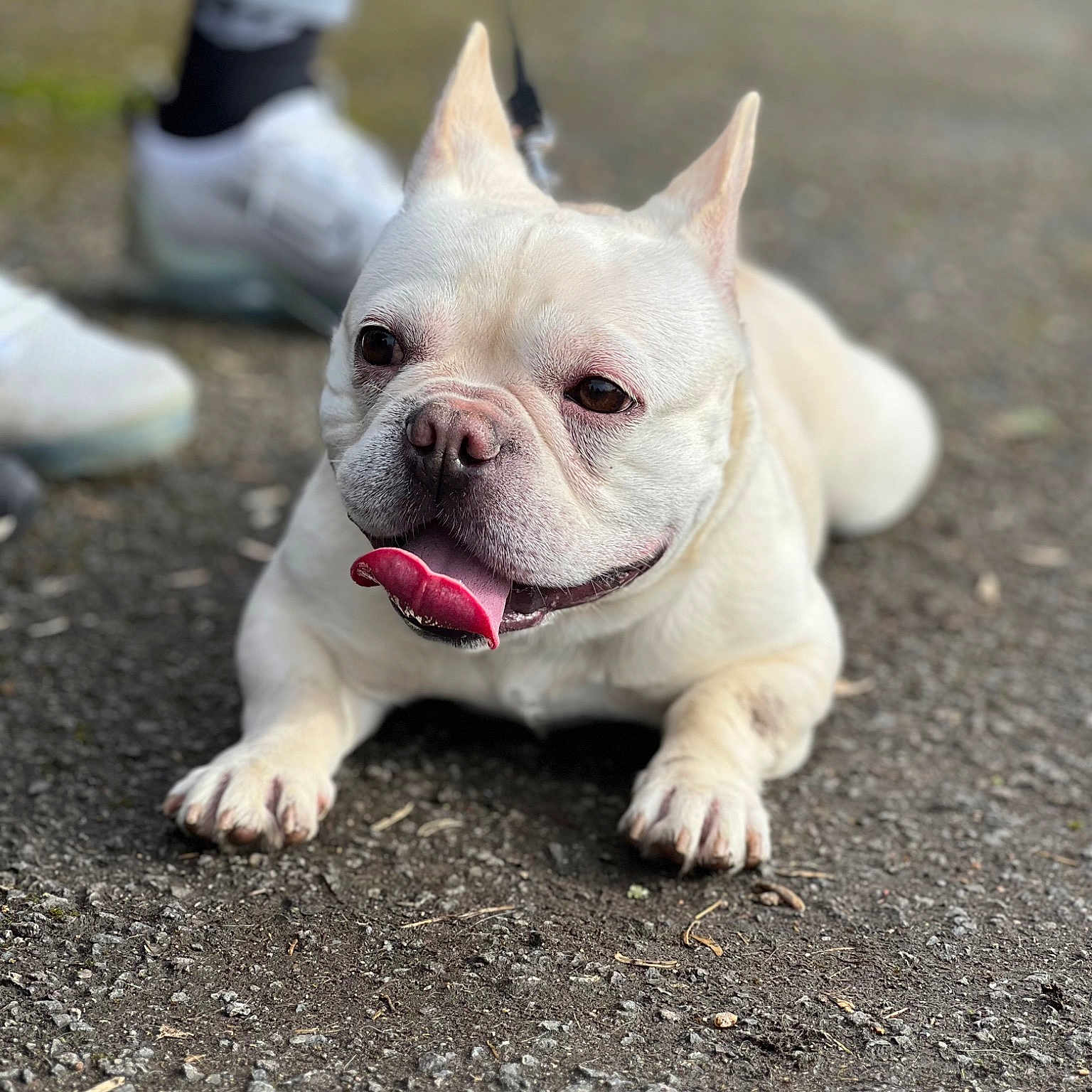 Coco