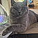 Berlioz