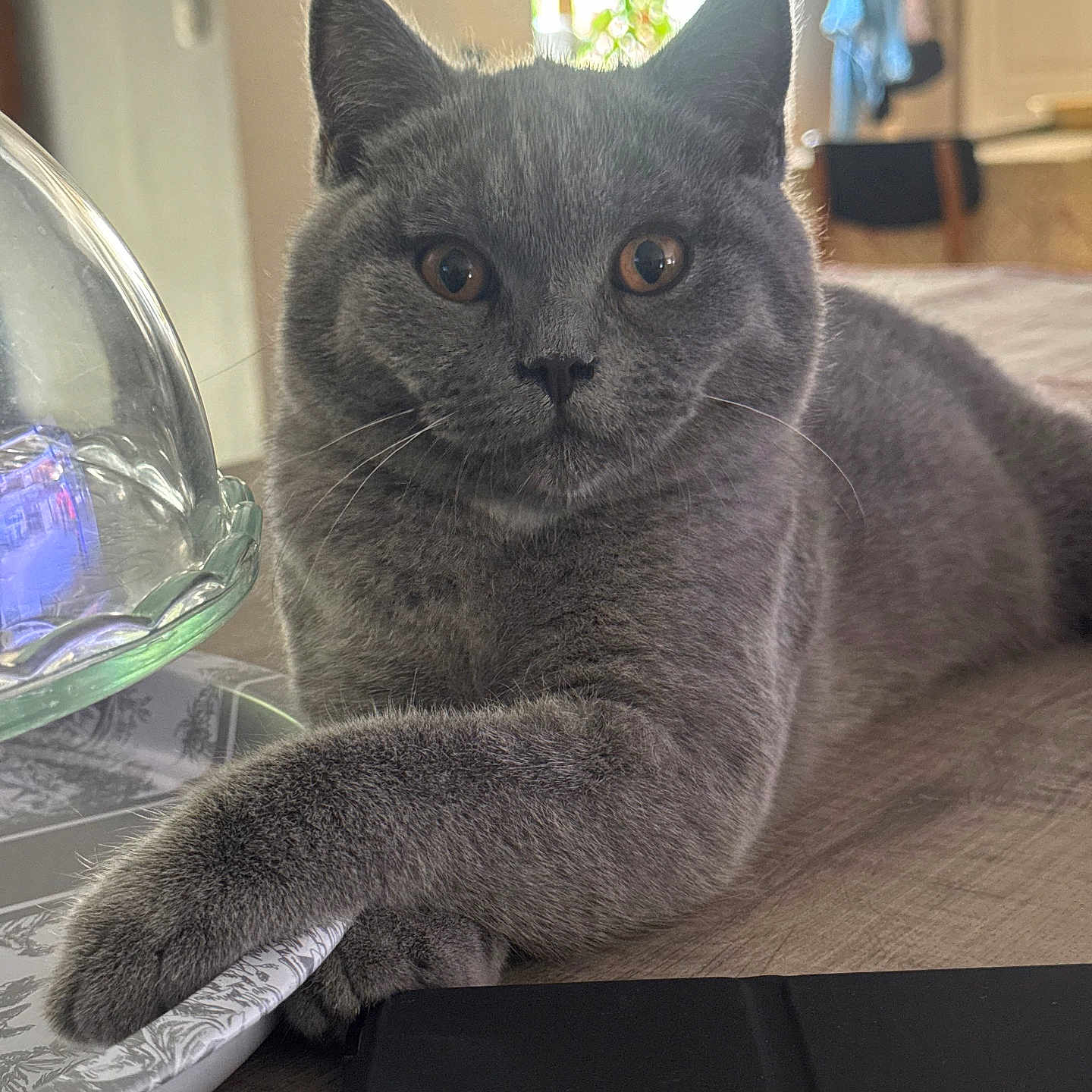 Berlioz