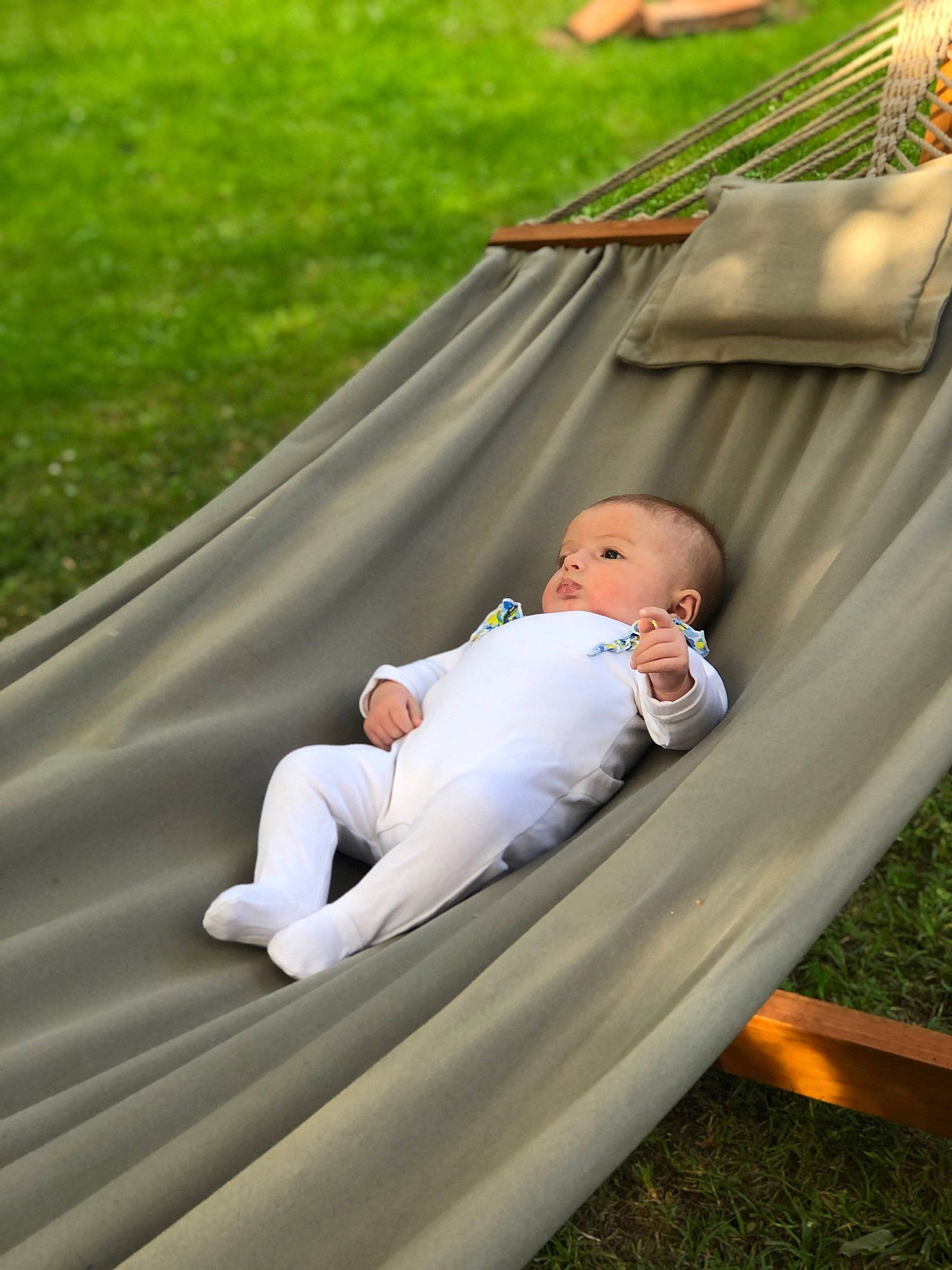 Lia participe au concours pour gagner de l'argent avec cette photo : baby, baby_products, child, chute, dress, fun, grass, human_body, lawn, leaf, leisure, motor_vehicle, outdoor_play_equipment, people, person, recreation, sitting, swing, toddler, tree