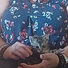 animal, bracelet, casual, cat, closeup, comfort, cute, domestic_animal, feline, floral_clothing, hands, holding, human, indoor, kitten, necklace, person, pet, resting, sitting