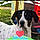 Roxy