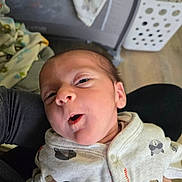 Cyrus joined the competition — help win amazing prizes! baby, newborn, infant, onesie, animal_print, clothing, face, expression, hand, indoor, playpen, laundry_basket, person, cute, child, portrait, soft_lighting, comfortable, home, holding