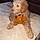 Winnie