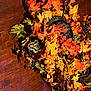Gizmo is registered to the contest to win money with this photo: annual_plant, autumn, brown, deciduous, flooring, flowering_plant, groundcover, hardwood, landscape, natural_material, pattern, petal, plant, shadow, still_life_photography, tints_and_shades, twig, varnish, wood, wood_stain