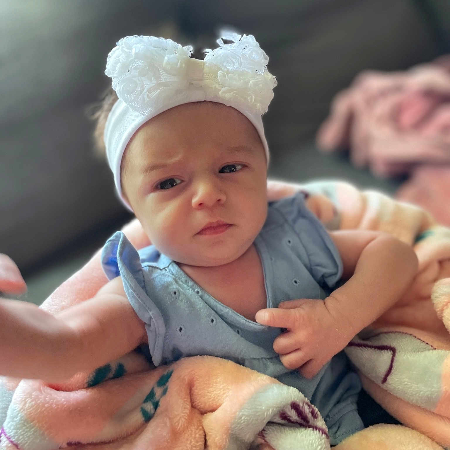 Paisley