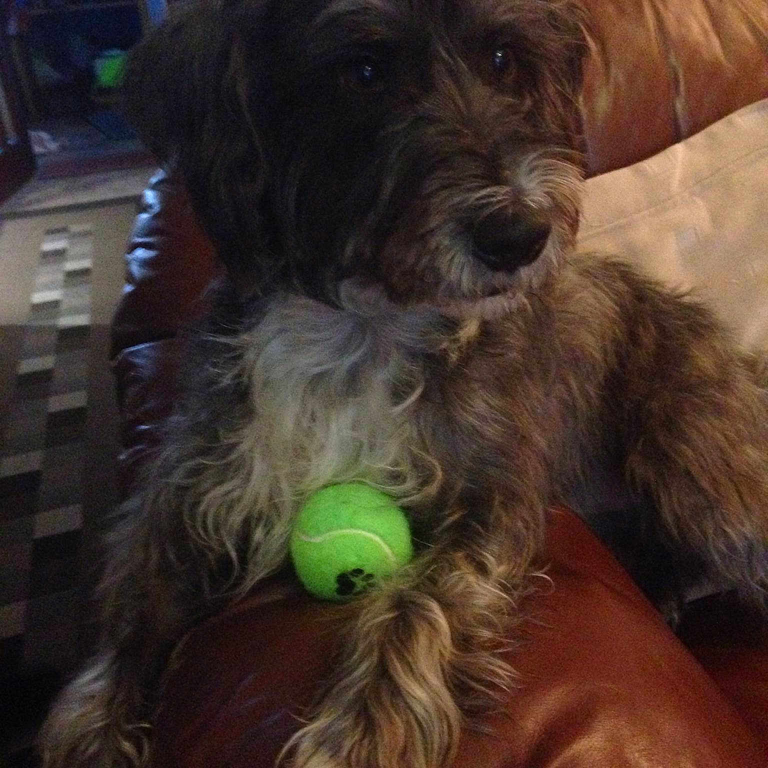 Charlie joined the competition — help win amazing prizes!