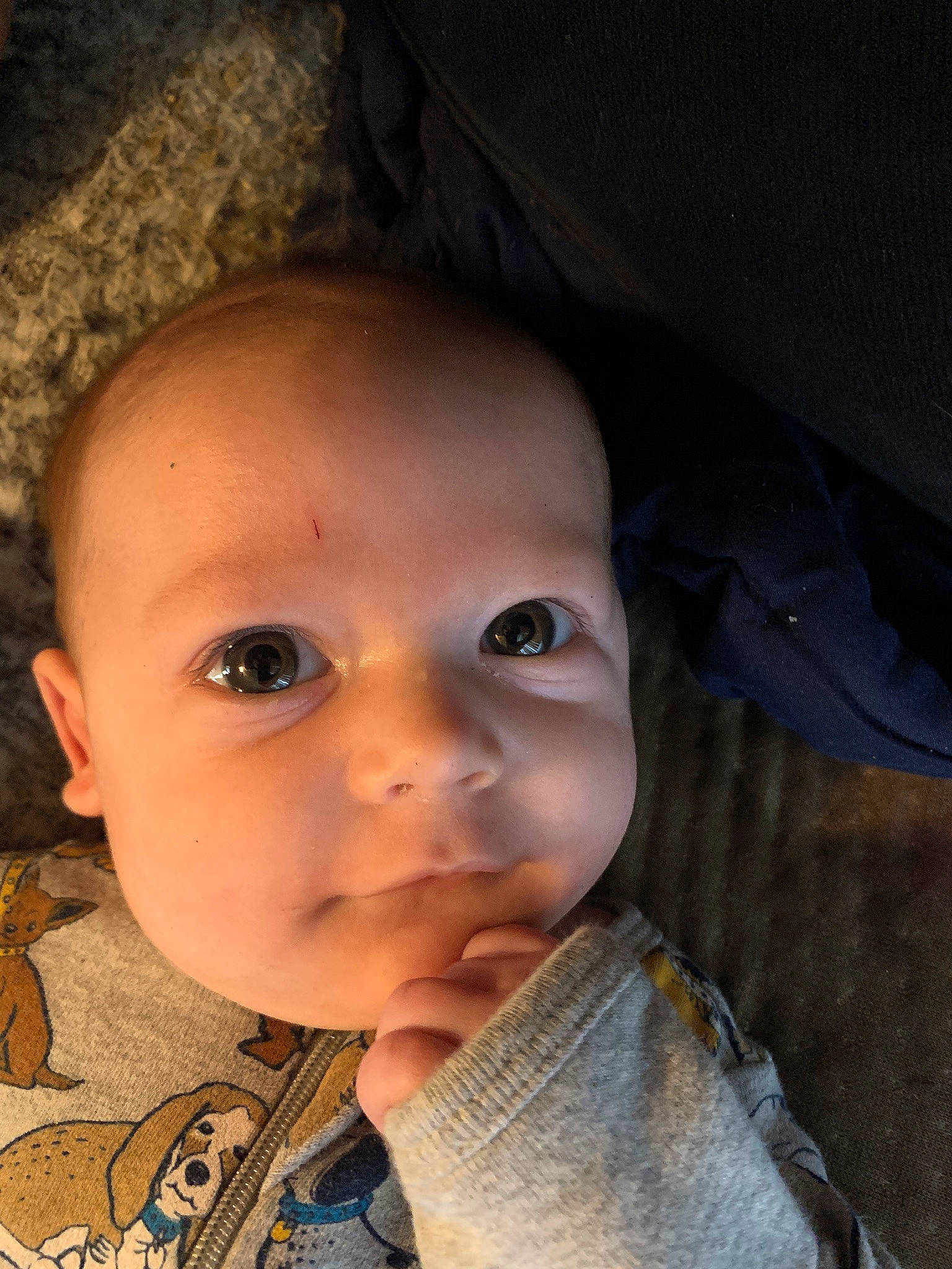 Alexander is registered to the contest to win money with this photo: baby, baby_toddler_clothing, brown, cheek, child, ear, eyebrow, eyelash, forehead, happy, iris, lip, mouth, neck, nose, person, sitting, skin, sleeve, smile