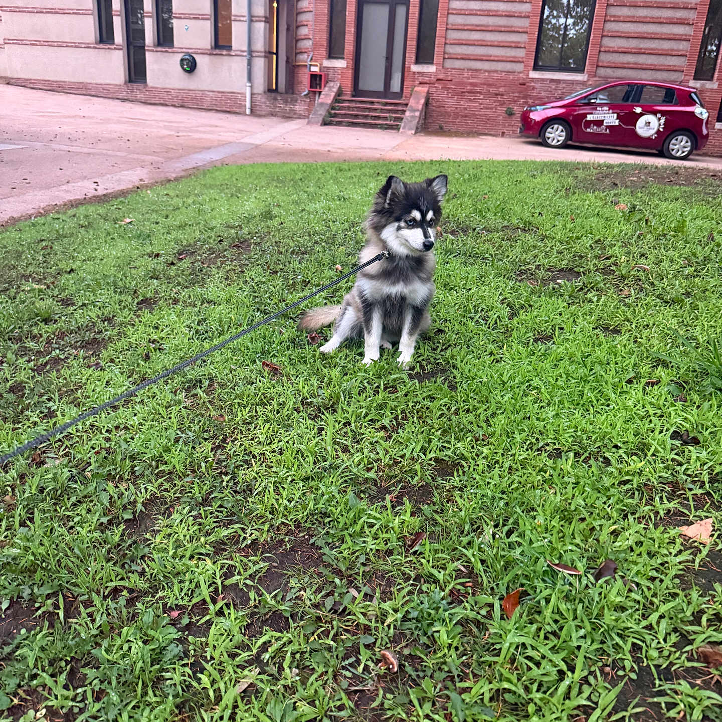Nala