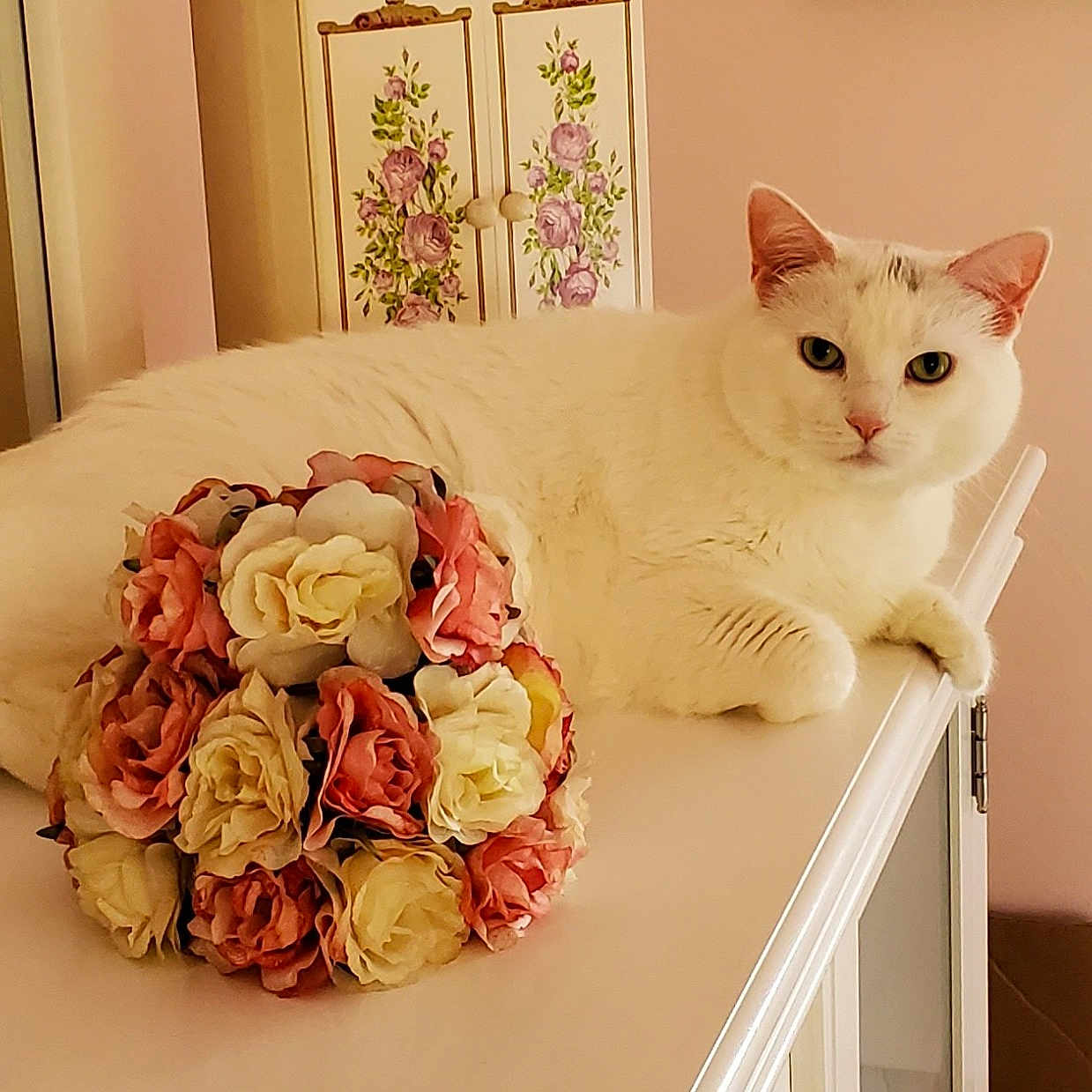 Hazel is registered to the contest to win money with this photo: animal, cabinet, cat, cream, cute, decor, feline, flower_bouquet, fluffy, household, indoor, mirror, pet, pink, reflection, relaxed, resting, roses, still_life, white_cat