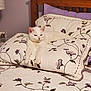 Sassy is registered to the contest to win money with this photo: animal, bed, cat, cozy, cream, cute, domestic, floral_pattern, furniture, home, indoor, pet, pillow, purple, quilt, relaxed, resting, sleepy, white_cat, wooden_headboard