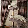 animal, cat, cat_tree, cats, cozy, curtains, domestic_animal, fluffy, furniture, home, indoor, mammal, pet, relaxing, resting, sleeping, soft, two_cats, white_cat, window