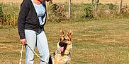 GUINNESS participe au concours pour gagner de l'argent avec cette photo :