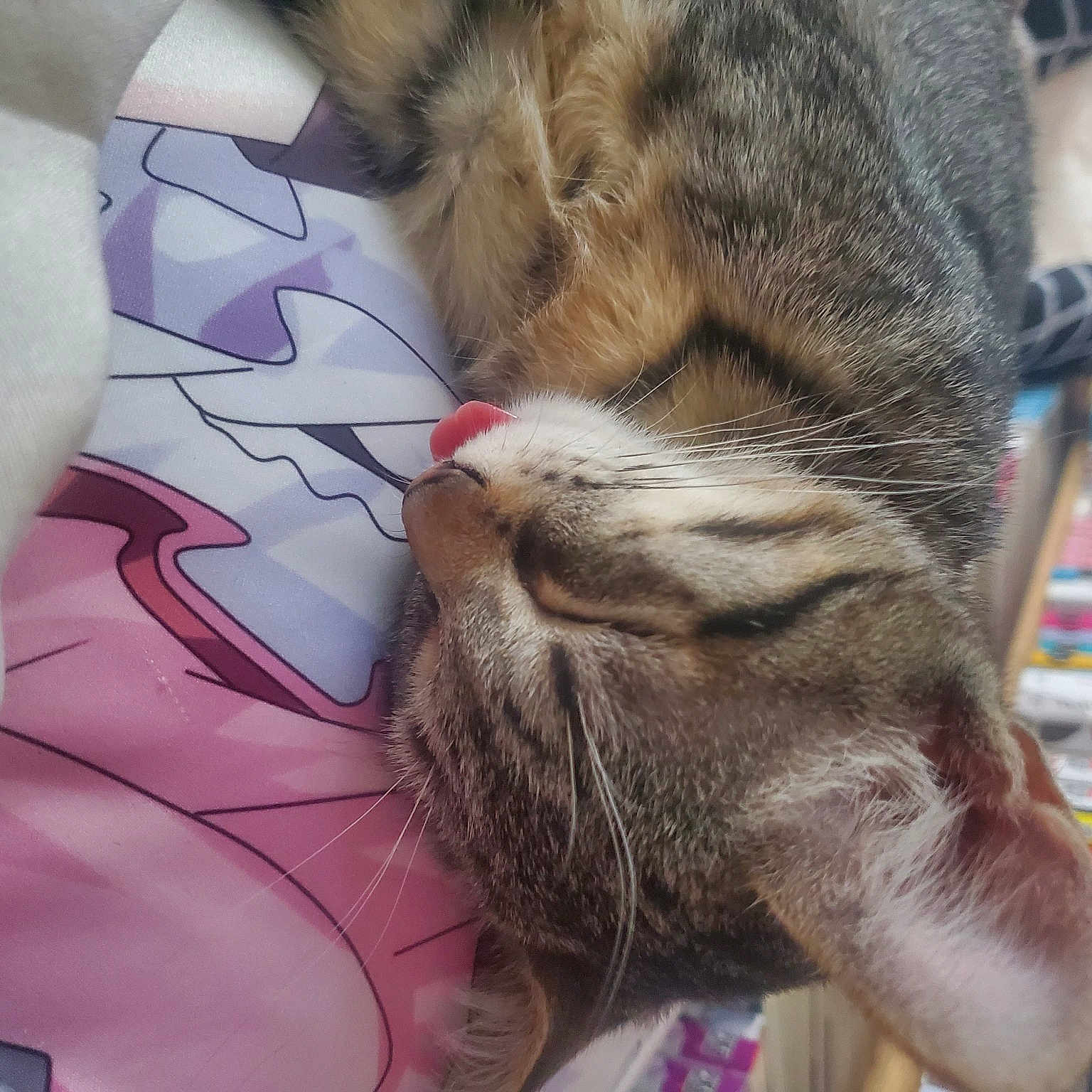 Hime
