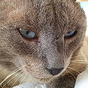 Noël a rejoint le concours — aidez-le/la à gagner de superbes lots !