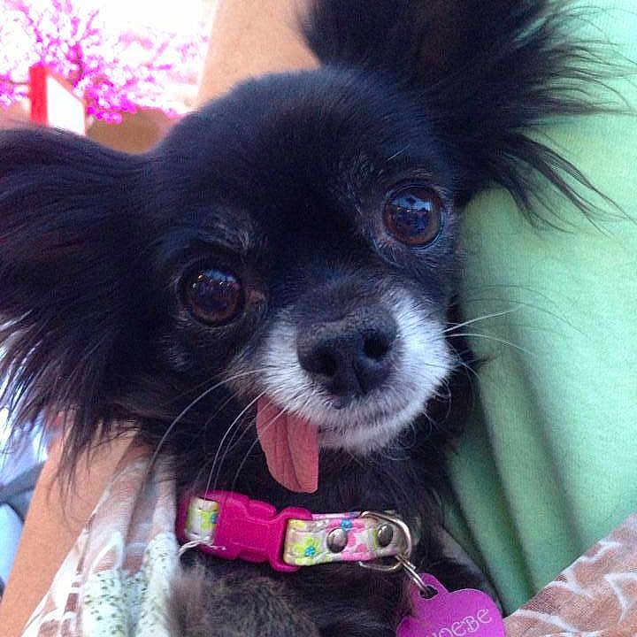 Phoebe is registered to the contest to win money with this photo: