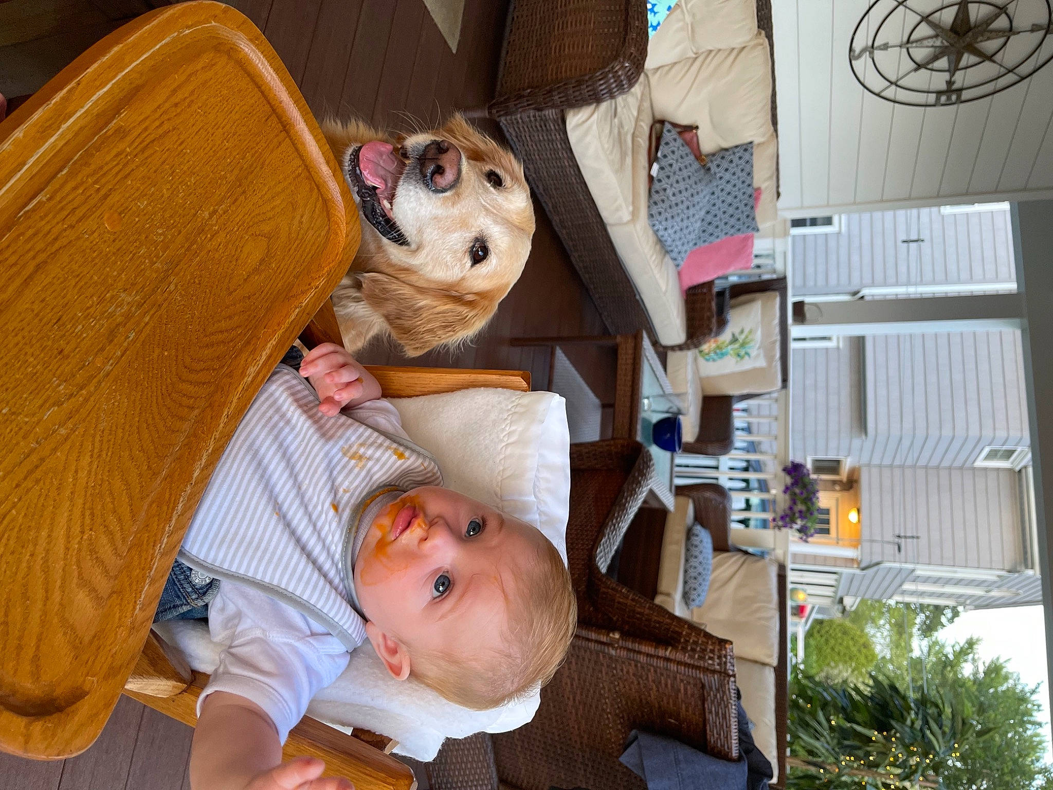 Richie joined the competition — help win amazing prizes! baby, baby_products, chair, child, comfort, companion_dog, fun, fur, happy, houseplant, person, plant, room, shelving, sitting, toddler, toy, tree, wood