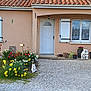 cat, flower_bed, daffodils, tulips, garden, gravel, house, door, window, shutters, potted_plants, statue, grass, outdoor, nature, spring, plant, roof_tiles, daylight, peaceful
