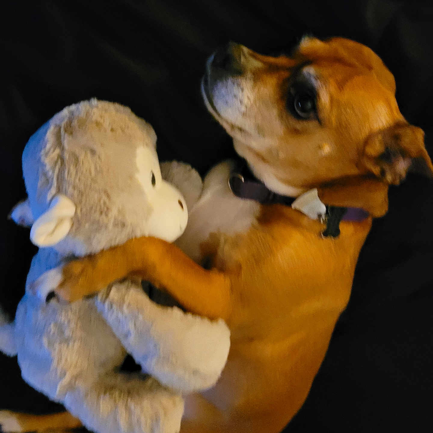 Chloe
