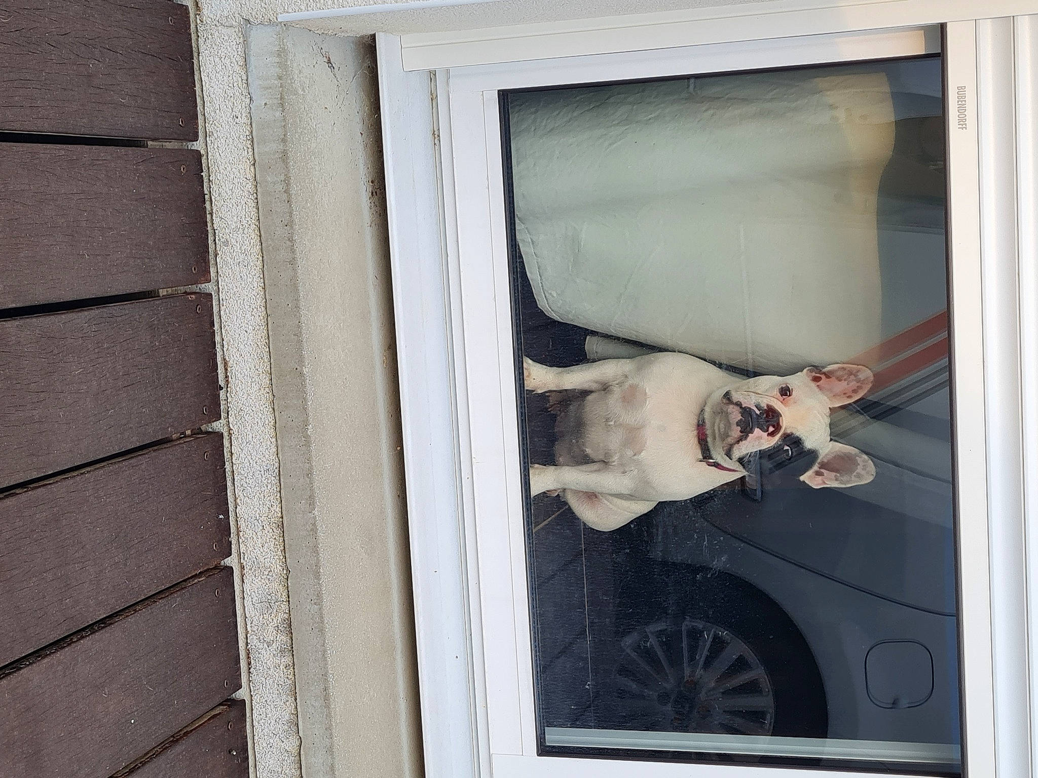 Sissy participe au concours pour gagner de l'argent avec cette photo : art, brick, brickwork, door, dress, facade, fawn, glass, house, room, sash_window, siding, sitting, tints_and_shades, tire, visual_arts, wheel, window, window_covering, wood