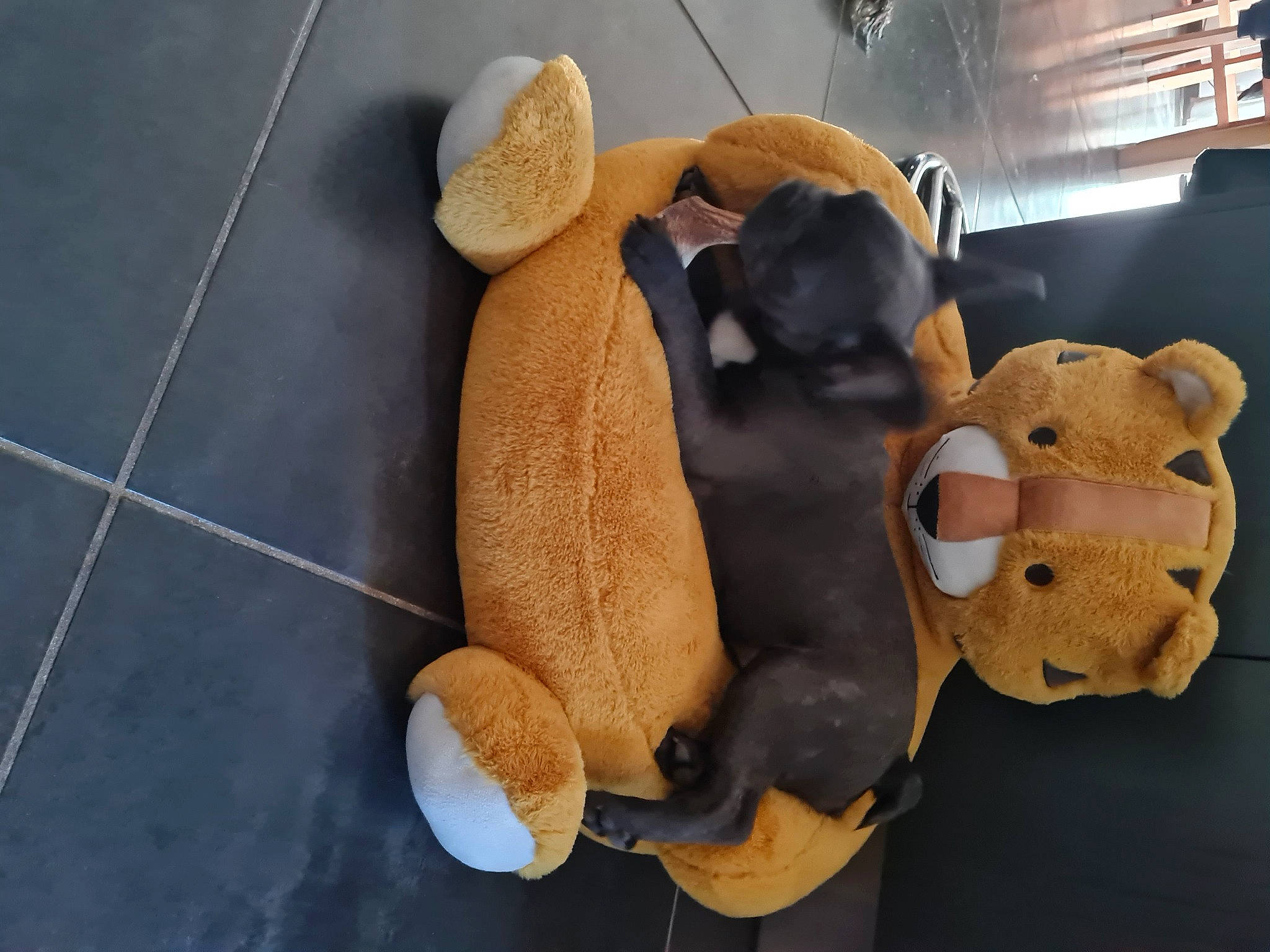 Tara a rejoint le concours — aidez-le/la à gagner de superbes lots ! animal_figure, baby_toys, bear, brown, fawn, flooring, fur, mammal, mascot, pattern, plush, room, snout, stuffed_toy, terrestrial_animal, tile_flooring, toy, vertebrate, wood, working_animal