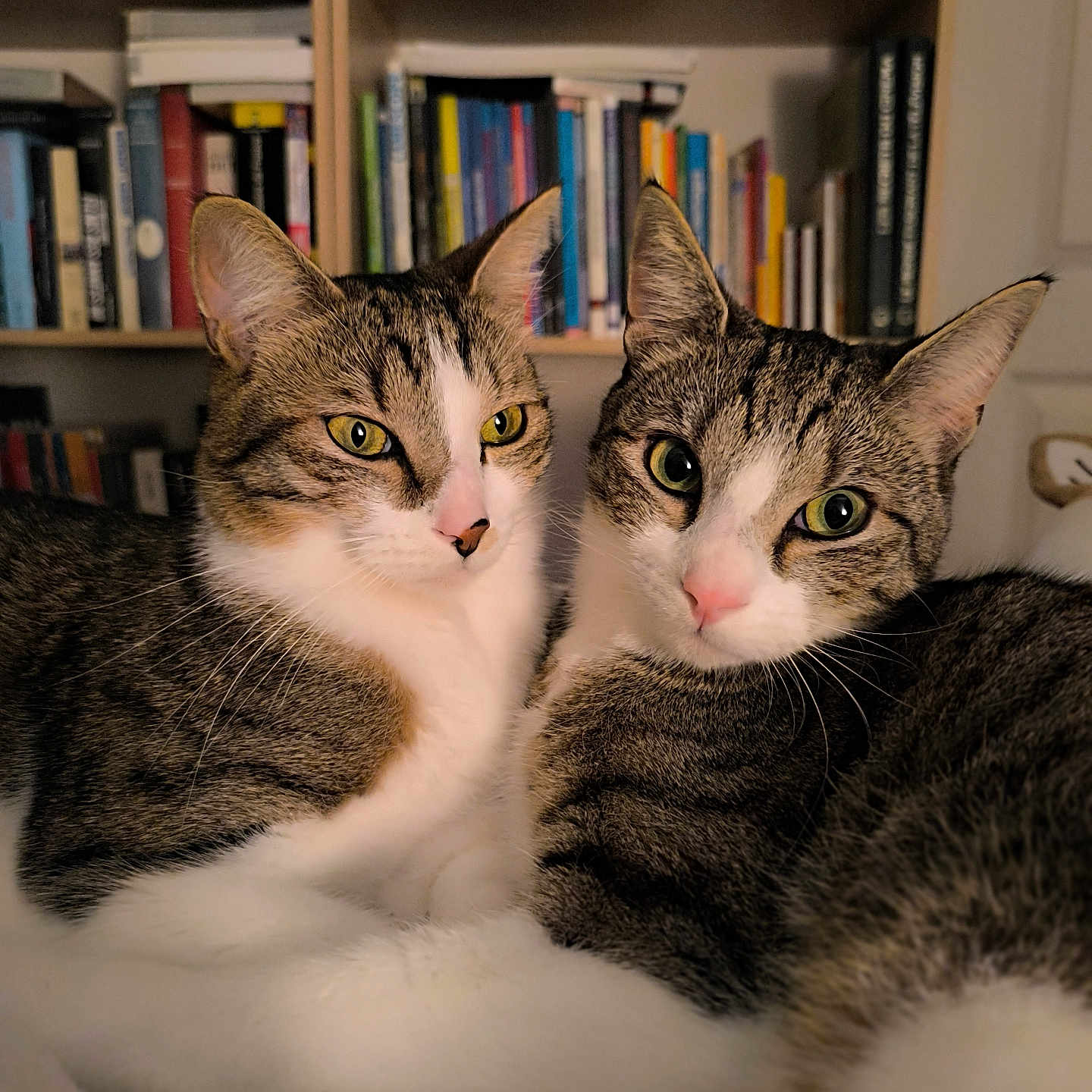 Prince Et Pinceau