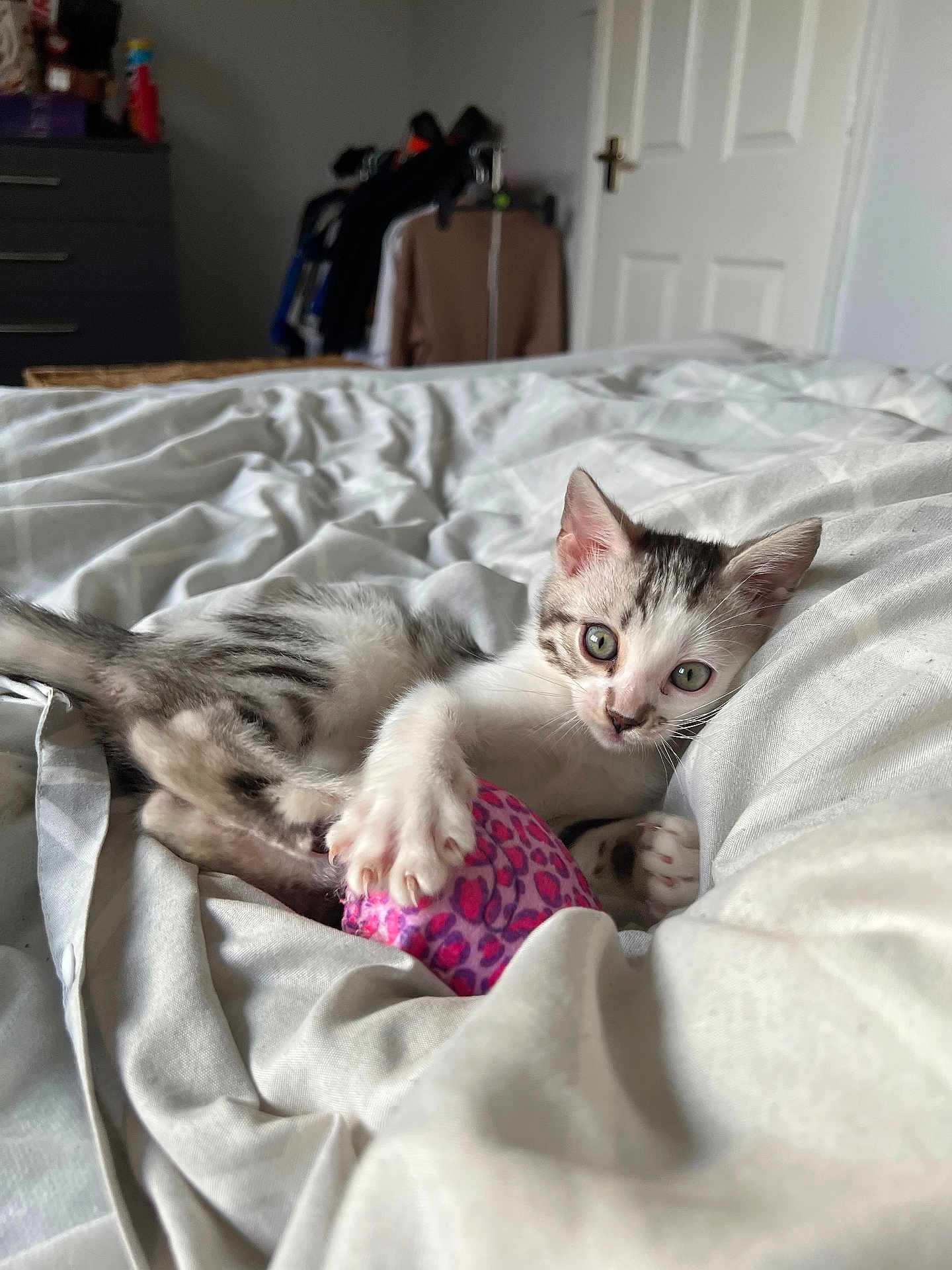 Cosmo