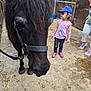 Alya a rejoint le concours — aidez-le/la à gagner de superbes lots ! adult, animal, barn, black_horse, blue_cap, casual_clothing, child, curly_hair, dirt_floor, hay, horse, indoor, leash, pet, pink_shoes, rope, stable, standing, toddler, wooden_door
