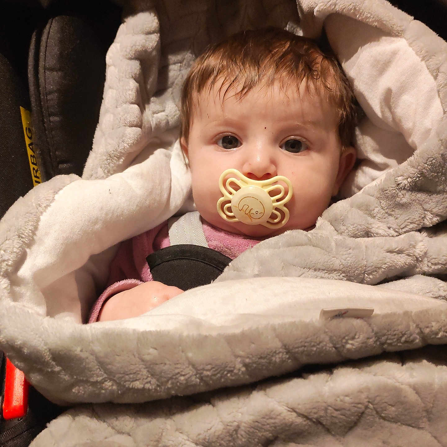 Nessia participe au concours pour gagner de l'argent avec cette photo : baby, blanket, buckle, car_seat, closeup, coat, cozy, cute, eyes, fabric_texture, face, hair, hand, hood, indoor, infant, pacifier, plush, portrait, strap