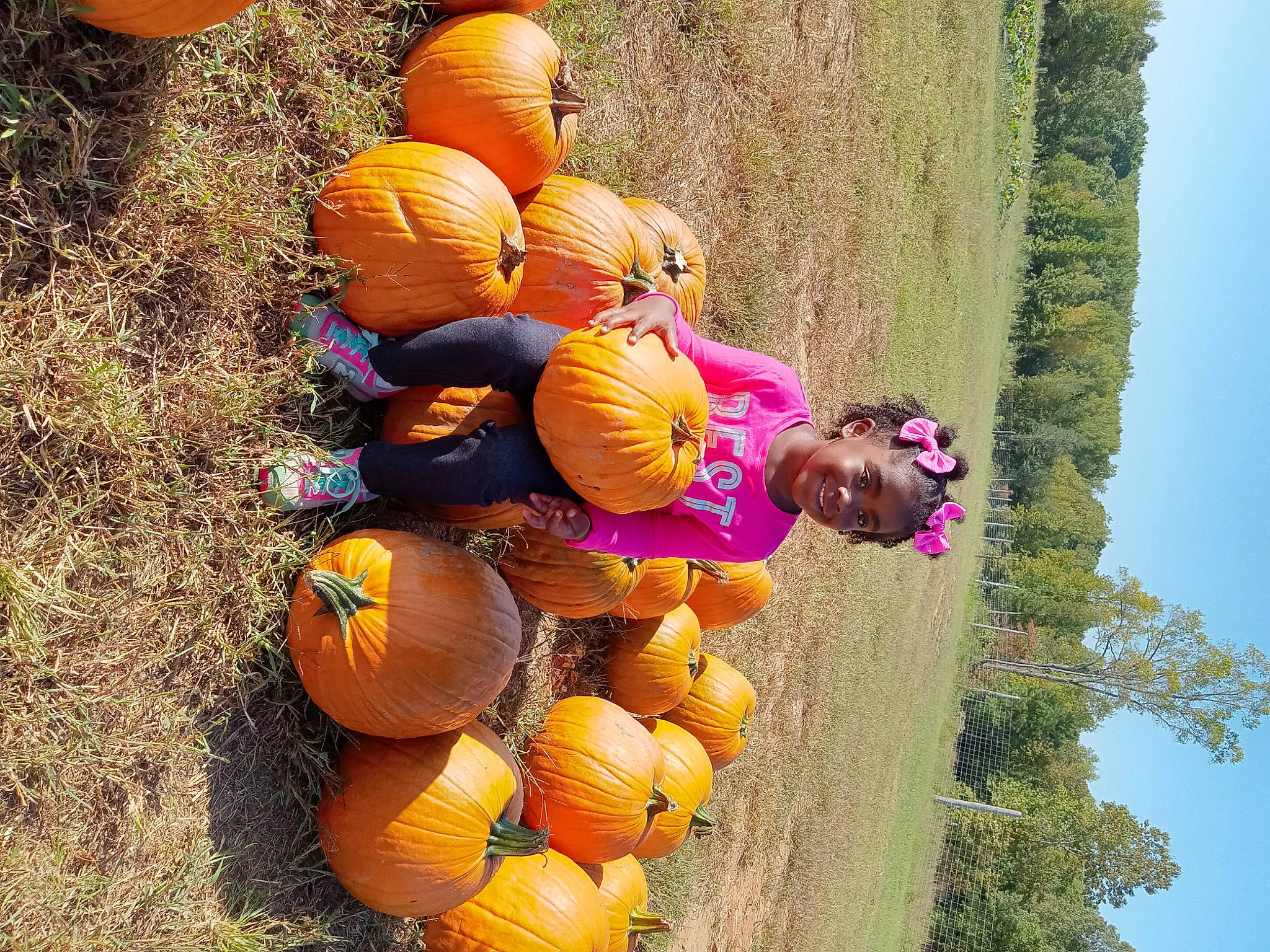Lyric is registered to the contest to win money with this photo: calabaza, cucurbita, flowering_plant, food, fruit, gourd, grass, happy, joy, local_food, natural_foods, people_in_nature, person, plant, produce, pumpkin, sky, squash, tree, vegetable