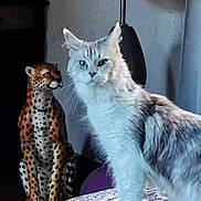 Polly a rejoint le concours — aidez-le/la à gagner de superbes lots ! cat, feline, statue, cheetah, indoor, lamp, table, patterned_surface, fur, animal_figure, pet, decor, portrait, domestic_cat, eyes, whiskers, standing, curious, household, soft_lighting