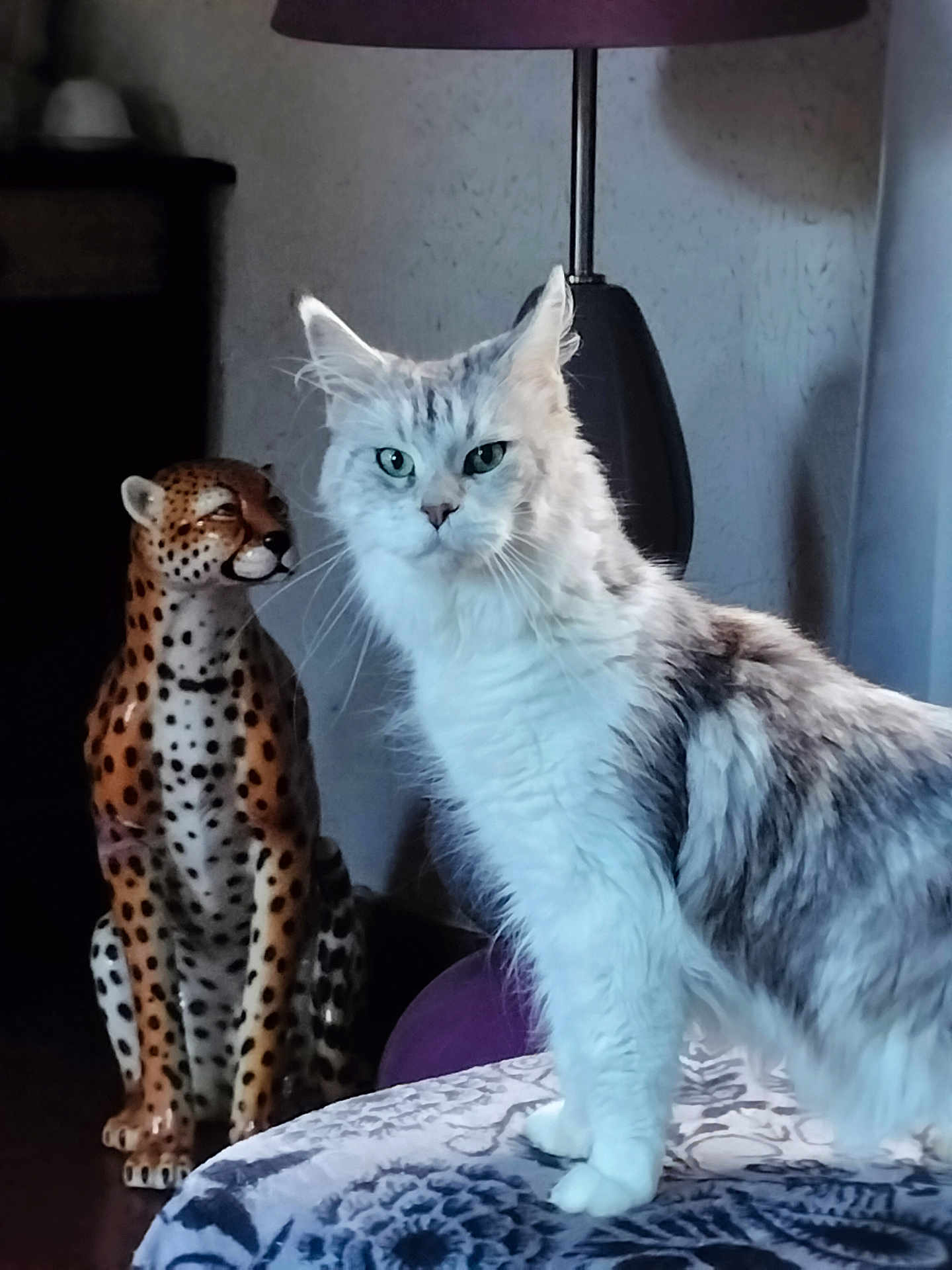 Polly a rejoint le concours — aidez-le/la à gagner de superbes lots ! cat, feline, statue, cheetah, indoor, lamp, table, patterned_surface, fur, animal_figure, pet, decor, portrait, domestic_cat, eyes, whiskers, standing, curious, household, soft_lighting