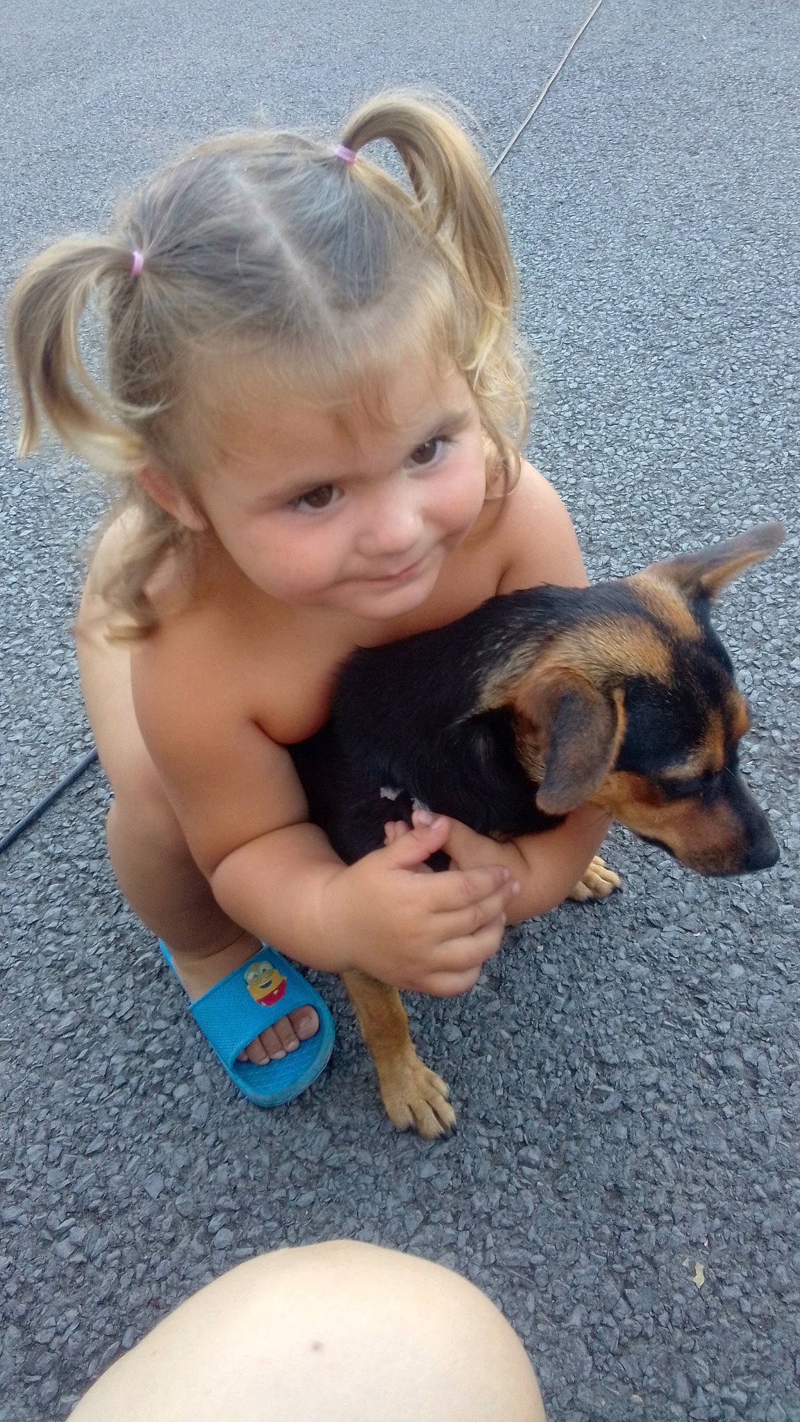 Helena a rejoint le concours — aidez-le/la à gagner de superbes lots ! carnivore, child, companion_dog, dog, dog_breed, fawn, flooring, foot, fun, grass, happy, human_leg, leisure, paw, person, play, sitting, smile, sporting_group, toddler