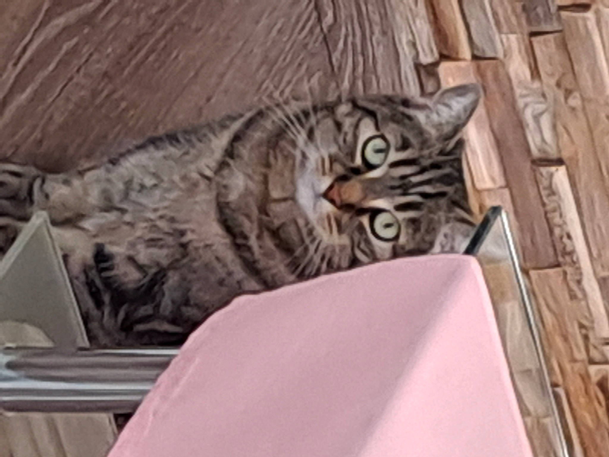 Shatchat