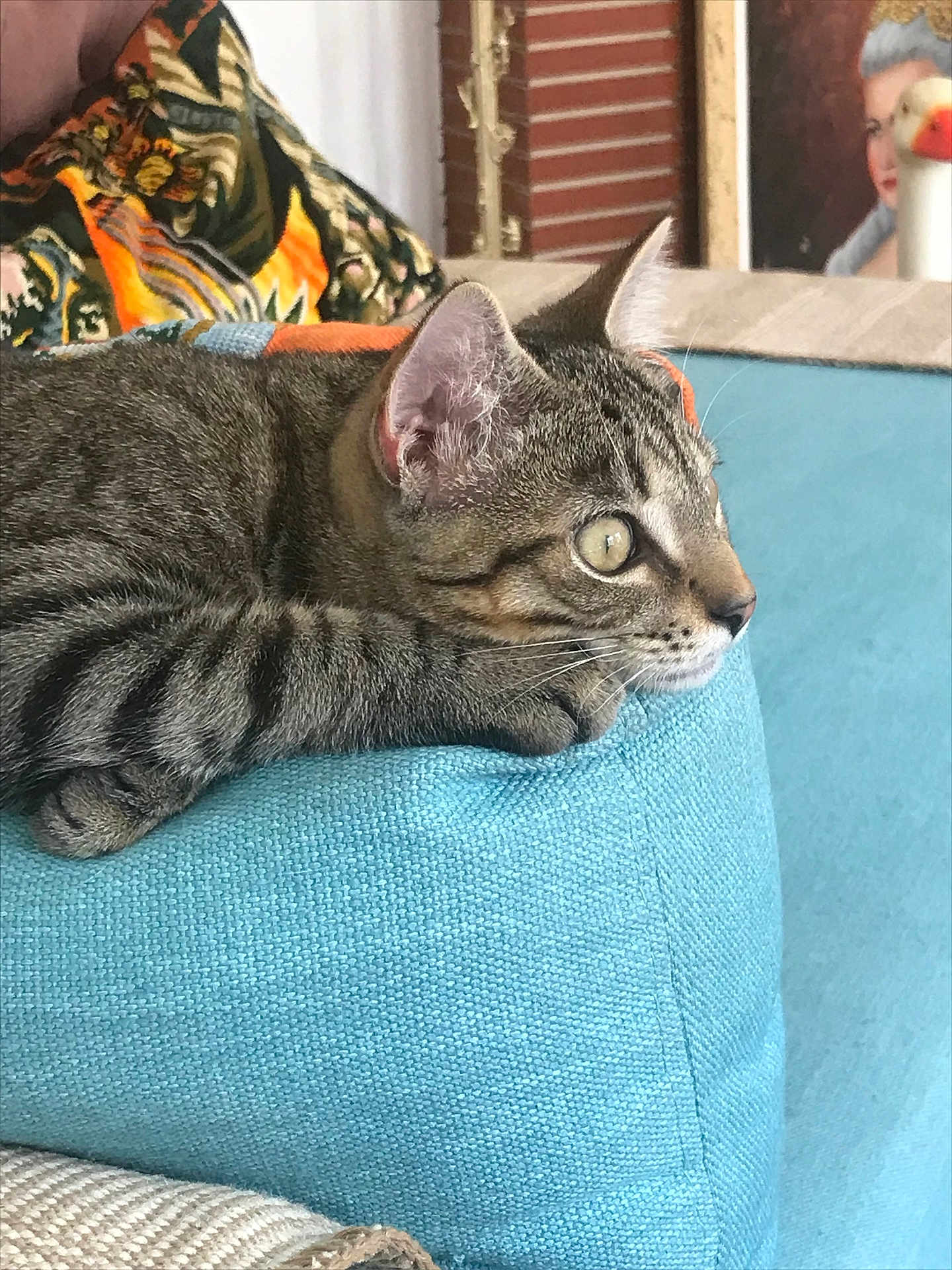 Simon