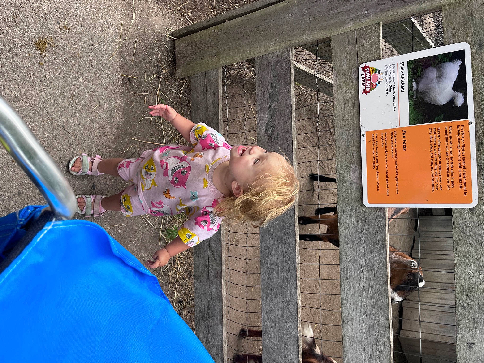 Millie is registered to the contest to win money with this photo: automotive_exterior, baby, bumper, child, city, fun, human_settlement, leisure, motor_vehicle, pedestrian, person, play, recreation, road, sitting, street, toddler, transport, tree, vehicle_door