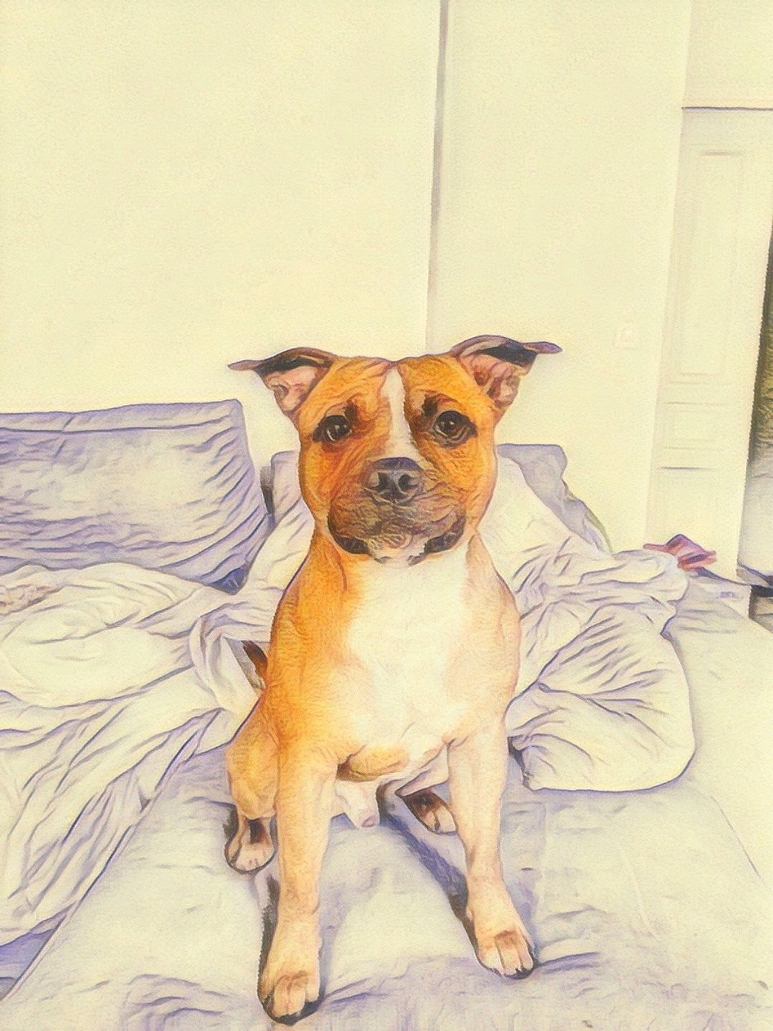 Spooky a rejoint le concours — aidez-le/la à gagner de superbes lots ! art, canidae, carnivore, collar, comfort, companion_dog, dog, dog_breed, dog_collar, drawing, fawn, illustration, linens, painting, paw, snout, sporting_group, toy_dog, whiskers, working_animal