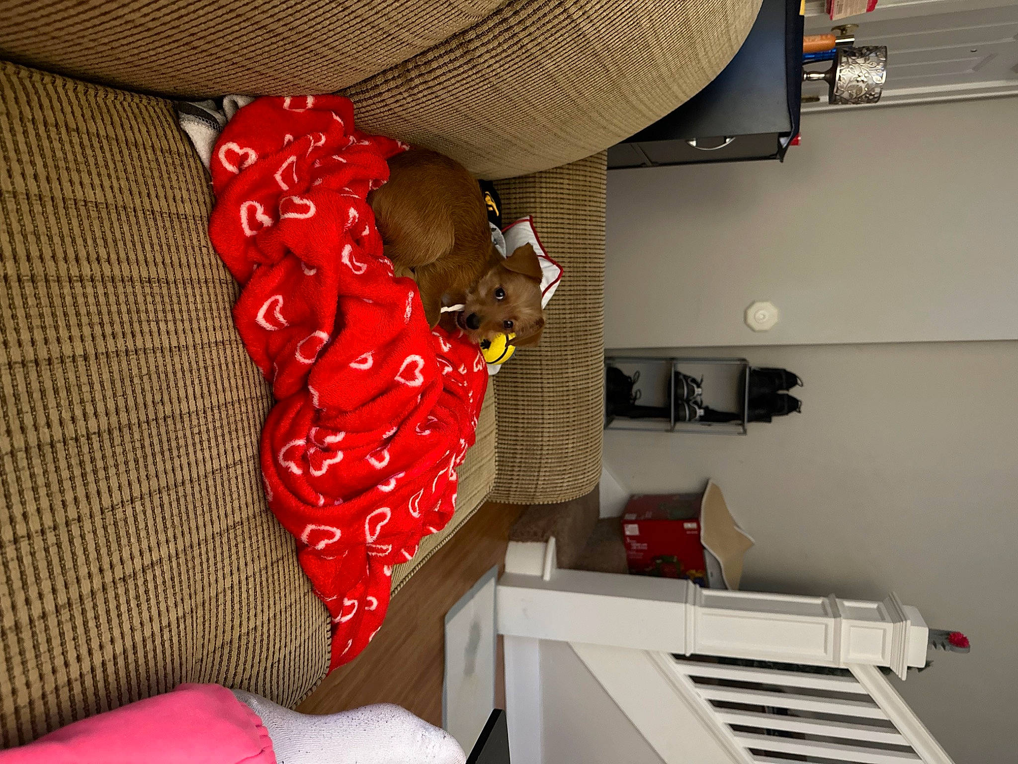 Jayjay joined the competition — help win amazing prizes! art, automotive_design, automotive_exterior, carmine, ceiling, design, fashion_accessory, flooring, font, linens, machine, magenta, metal, office_equipment, pattern, plastic, red, room, visual_arts, wood