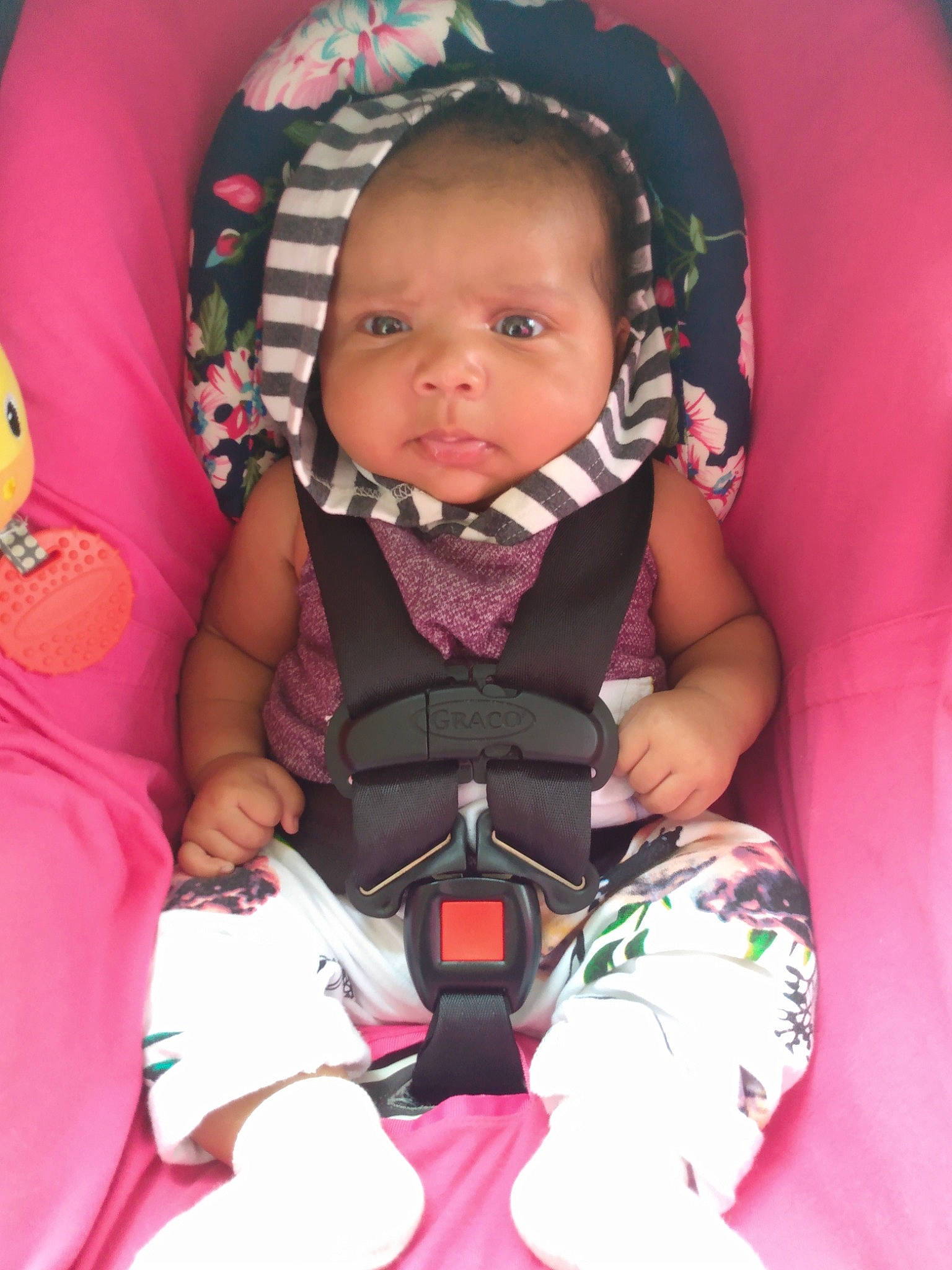 Jessalynn joined the competition — help win amazing prizes! baby, baby_carriage, baby_products, baby_safety, baby_toddler_clothing, cheek, comfort, finger, fun, happy, iris, mouth, pattern, person, pink, purple, sitting, skin, sleeve, thumb