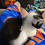 kitten, cat, black_and_white, lap, blanket, fireplace, cozy, indoor, legs, relaxation, home, furniture, warmth, comfort, orange, blue, fur, pet, resting, casual