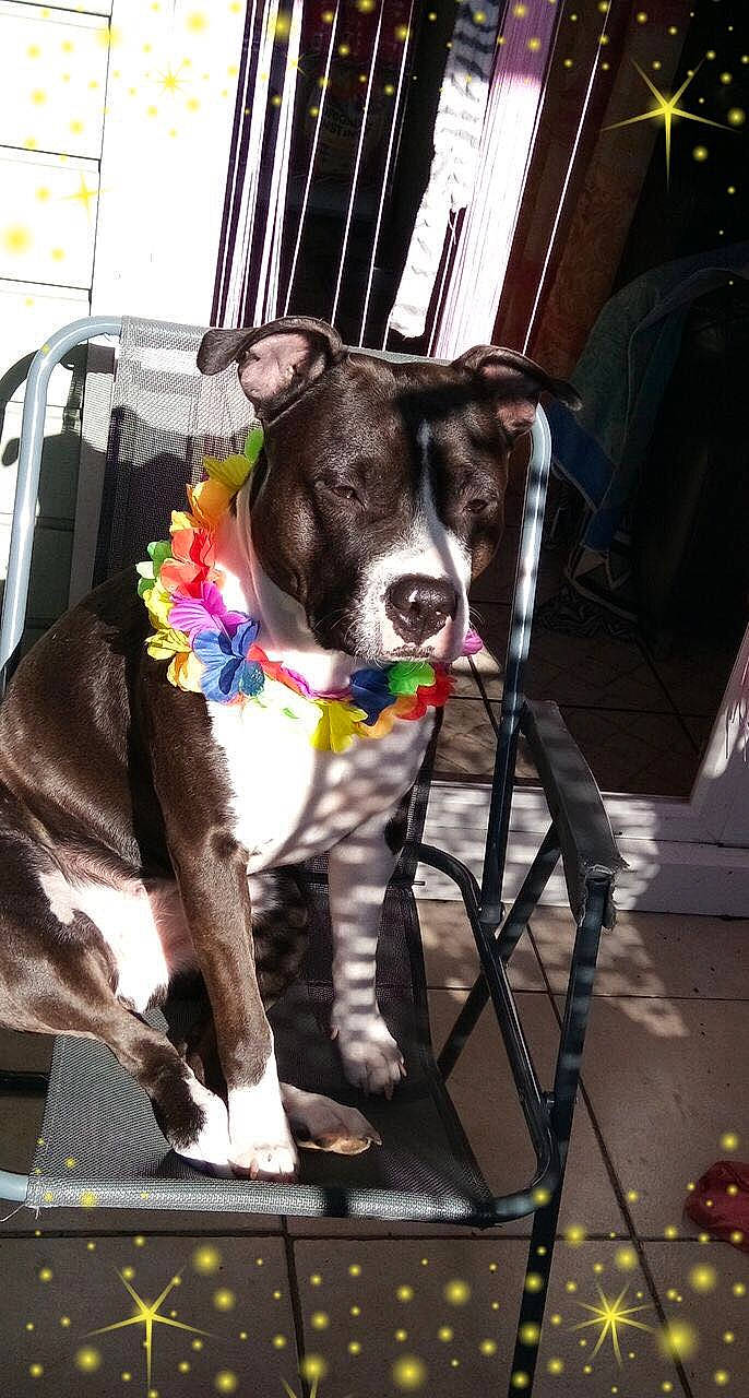 Mia