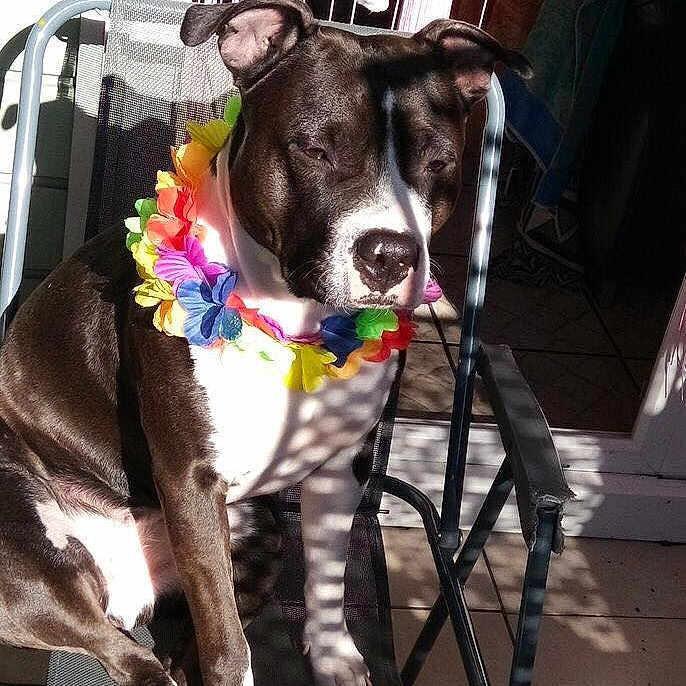 Mia