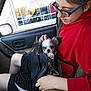 person, dog, puppy, handbag, car_interior, window, seatbelt, red_sweatshirt, black_shorts, glasses, car_door, seat, leather_seat, keychain, pet, cute, young_person, holding, resting, daylight