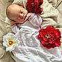 baby, newborn, sleeping, blanket, flower, red_flower, white_flower, soft_texture, infant, peaceful, white_clothing, purple_trim, lying_down, close_up, indoors, cute, portrait, resting, cozy, toddler