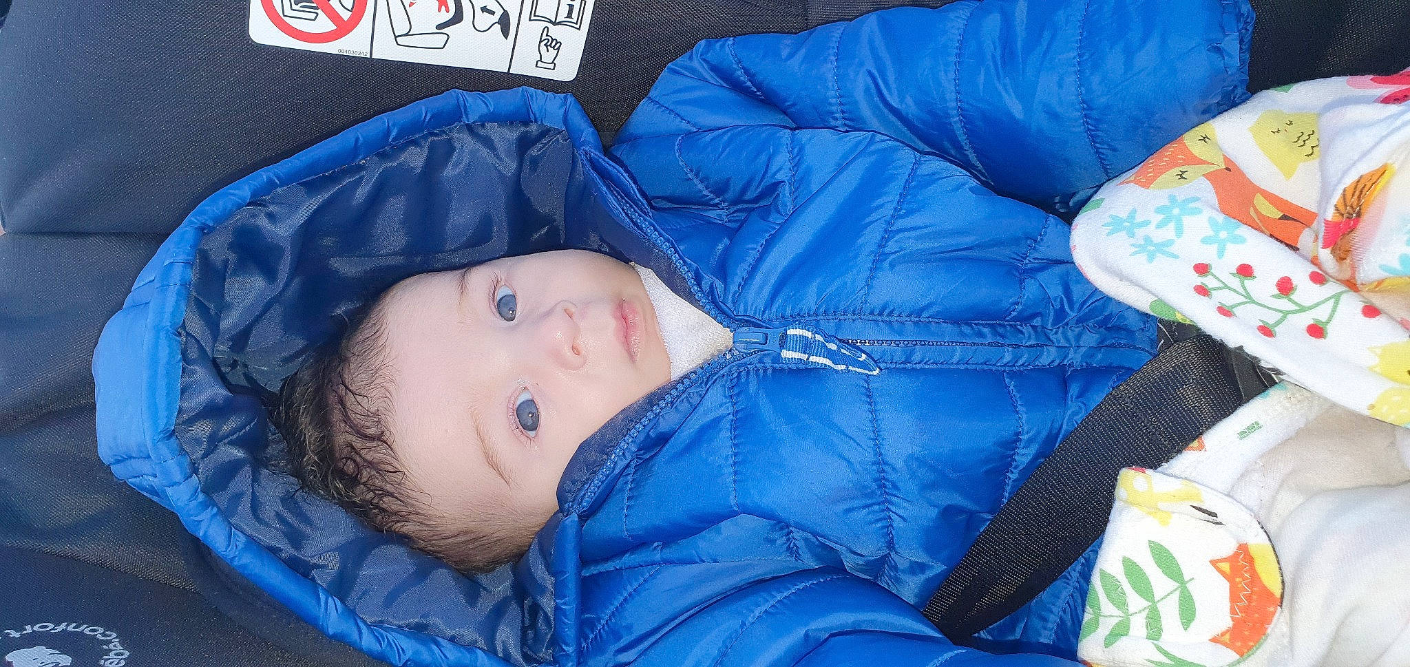 Safwan participe au concours pour gagner de l'argent avec cette photo : baby, bedtime, child, nap, person, sleep, toddler