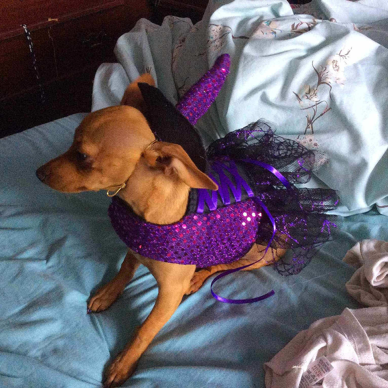 Lola