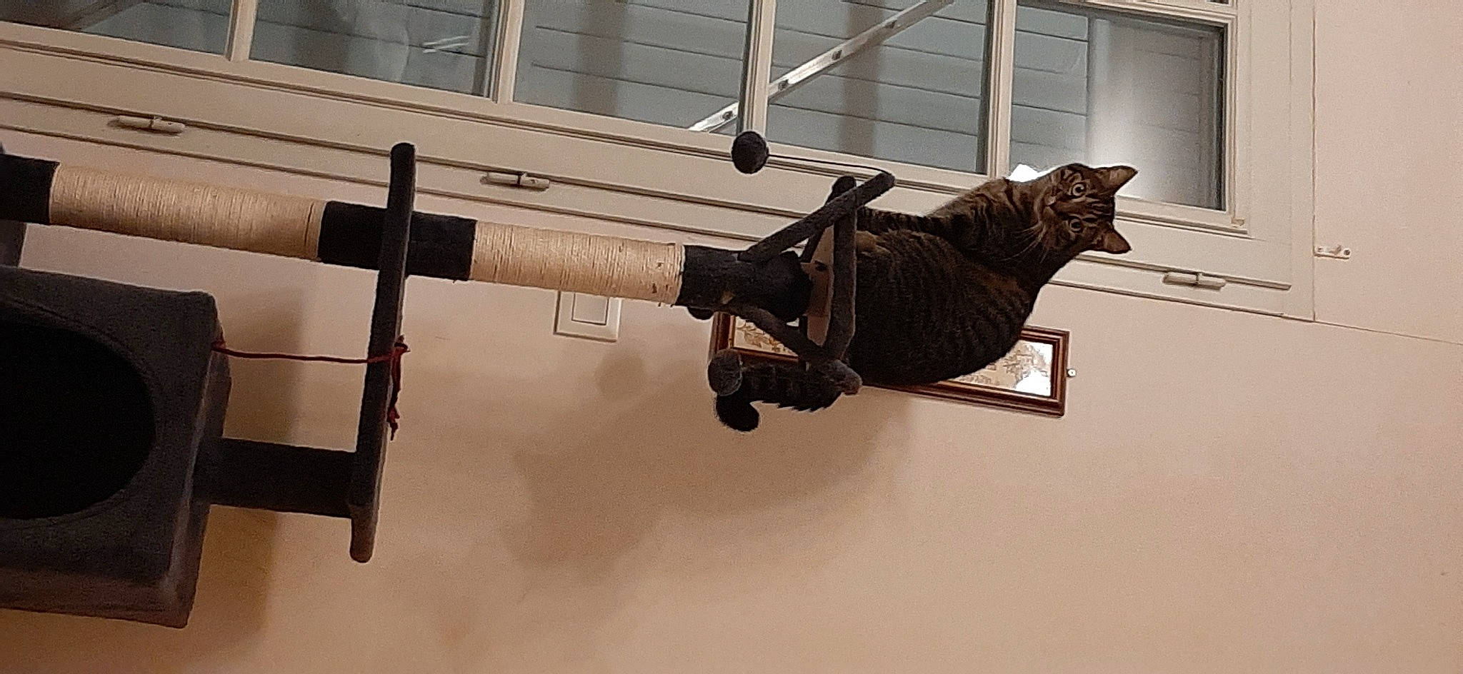 Crapouille participe au concours pour gagner de l'argent avec cette photo : art, bronze_sculpture, building, line, metal, museum, room, sculpture, shadow, statue, tail, tourist_attraction, visual_arts, window, wood