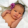 Faith is registered to the contest to win money with this photo: newborn, baby, flower, blanket, white, skin, face, portrait, infant, cute, soft, resting, fresh, wrapped, closeup, child, peaceful, tiny, delicate, cozy